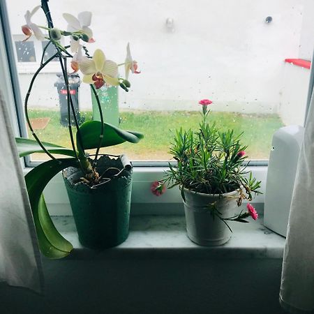 La Toskana Apartment Ihr Rueckzugsort Am Regen Zeitlarn Dış mekan fotoğraf